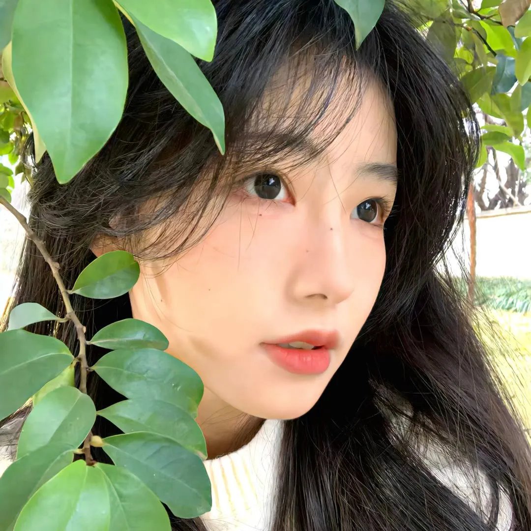 柏德里纳的新娘